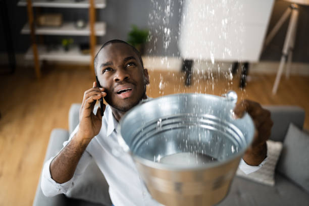 Best Water damage restoration near me  in Seymour, IN